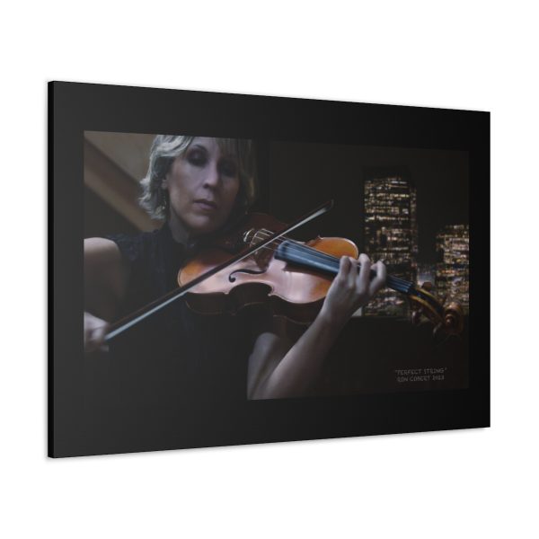 Pusch Violin - Image 2
