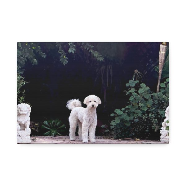 "Garden Cutie" - Image 33