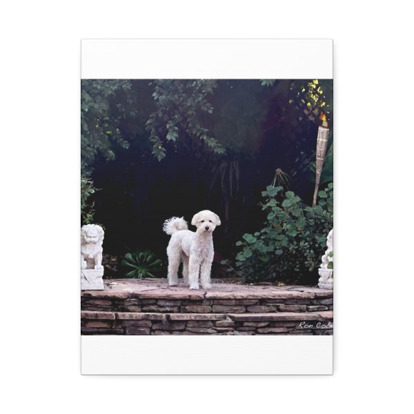 "Garden Cutie" - Image 17